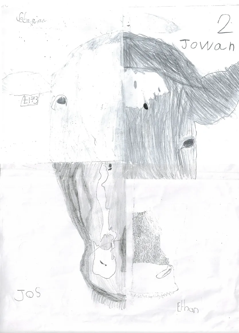 School_Drawing-01 A thank you picture drawn by children