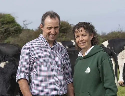Simple Milk Production and Retailing